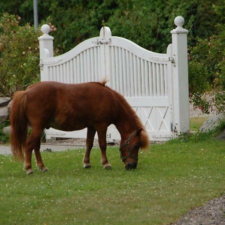 Ostseepferdehof Neukirchen  Zewnętrze zdjęcie